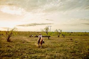 Image post by @farmcredit on Instagram