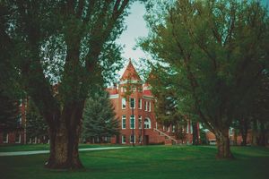 Image post by @nauflagstaff on Instagram