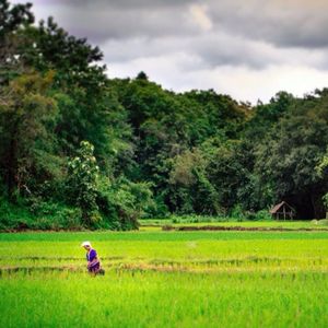 Image post by @joenagraphy on Instagram