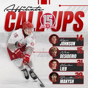 Image post by @fightingsaints on Instagram