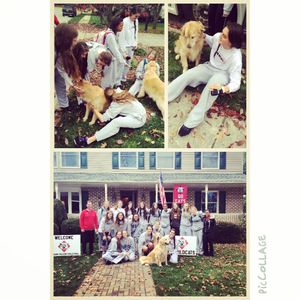 Image post by @davidsonvb on Instagram