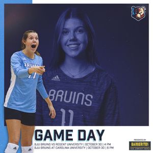 Image post by @bjubruins on Instagram