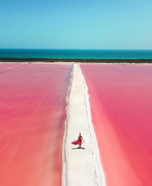 Image post by @dronepals on Instagram
