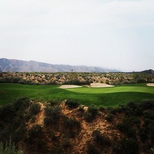 Image post by @benw_silverman on Instagram