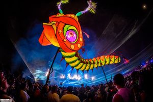 Image post by @nocturnalwland on Instagram