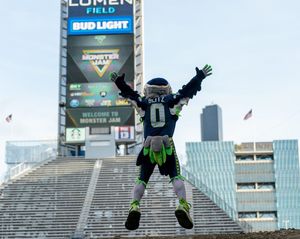 Image post by @blitztheseahawk on Instagram