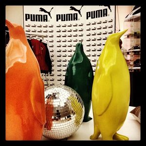 Image post by @puma on Instagram