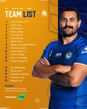 Image post by @theparraeels on Instagram