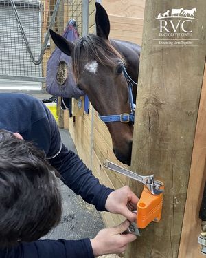 Image post by @nzhorseambulancetrust on Facebook
