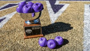 Image post by @UWAthletics on Twitter