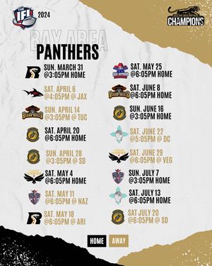 Image post by @panthersifl on Instagram