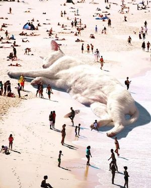 Image post by @fubiz on Instagram