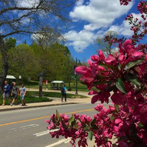 Image post by @uofnh on Instagram