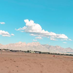 Image post by @mimiolson08 on Instagram