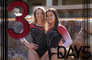Image post by @semogymnastics on Instagram
