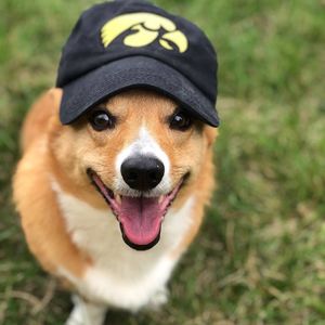 Image post by @uiowa on Instagram
