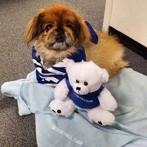 Image post by @setonhall on Instagram