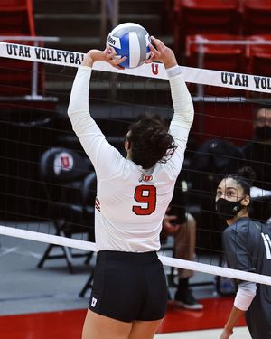 Image post by @utahvolleyball on Instagram