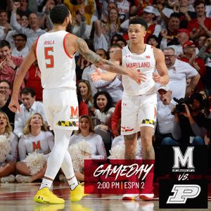 Image post by @terrapinhoops on Instagram