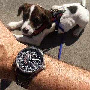 Image post by @citizenwatchus on Instagram