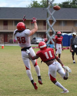 Image post by @jaxstatefb on Instagram