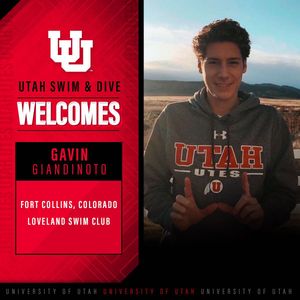 Image post by @utahswimdive on Instagram
