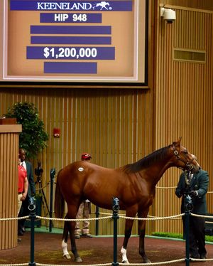 Image post by @spendthriftfarm on Instagram