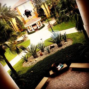 Image post by @rosencollege on Instagram