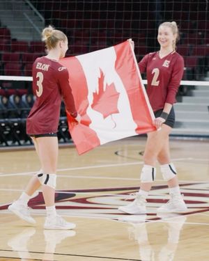 Image post by @elonvb on Instagram