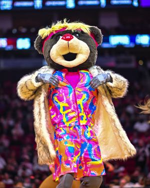 Image post by @clutchthebear on Twitter