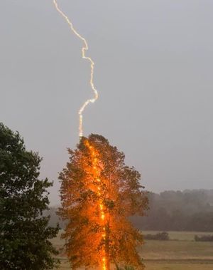 Image post by @foxweather on Instagram