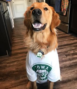 Image post by @iowawild on Instagram