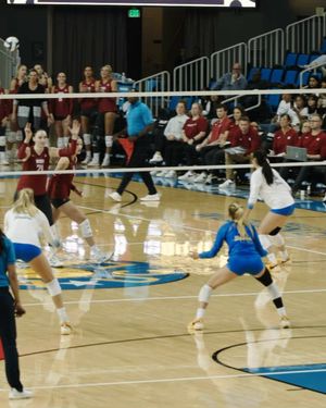 Image post by @uclawomensvb on Instagram