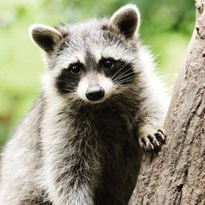 Image post by @discovery on Instagram