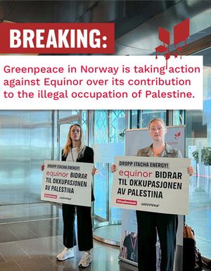 Image post by @Greenpeace on Twitter