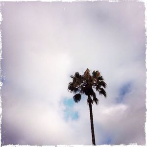 Image post by @fotowill on Instagram