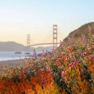 Image post by @hiltonhotels on Instagram