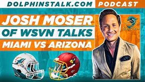 Video post by @dolphinstalk on YouTube
