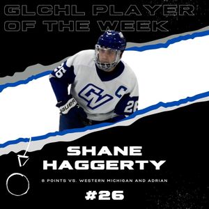Image post by @gvsu_hockey on Instagram