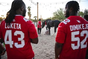 Image post by @azcardsinthecommunity on Instagram