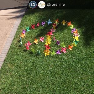 Image post by @rosencollege on Instagram