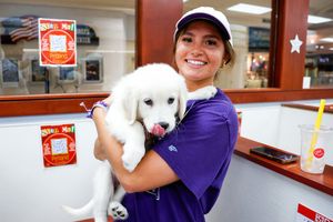 Image post by @KStateSOC on Twitter