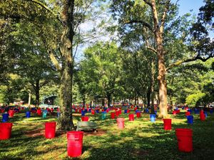 Image post by @olemissfb on Instagram