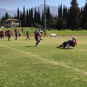 Image post by @usnft on Instagram