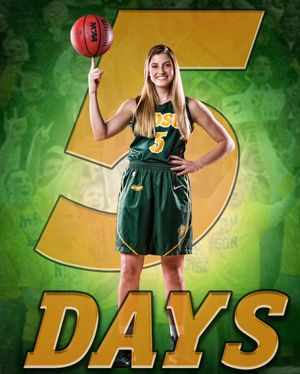 Image post by @ndsuwbb on Instagram