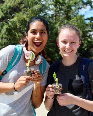 Image post by @illiniunion on Instagram