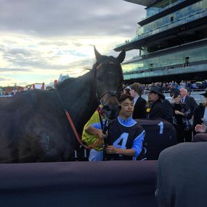 Image post by @australianturfclub on Instagram