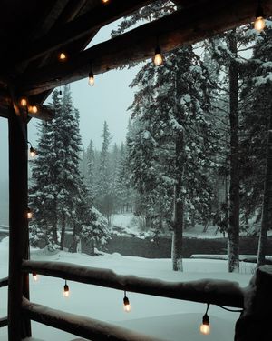 Image post by @natenvnez on Instagram