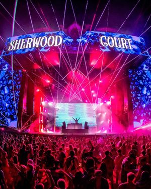 Image post by @electric_forest on Instagram
