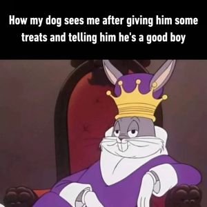 Image post by @9gag on Instagram